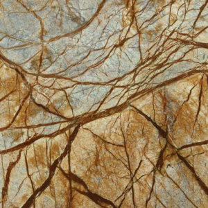 Rain Forest Brown